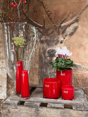 DutZ Collection Votive Glas Windlicht Vase Cylinder rot H7