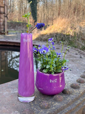 DutZ Collection Glasvase Solifleur H21 D5 violet