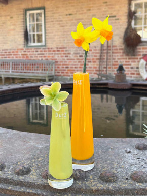 DutZ Collection Glasvase Solifleur H21 D5 chartreuse