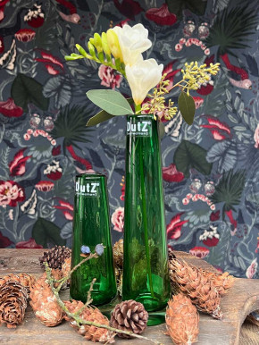 DutZ Collection Glasvase Solifleur H15 D5 grün TR