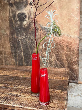 DutZ Collection Glasvase Solifleur H15 D5 rot