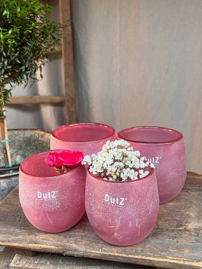 DutZ Collection Glas Übertopf Vase Hurricane Diva Antic fuchsia H10 D10