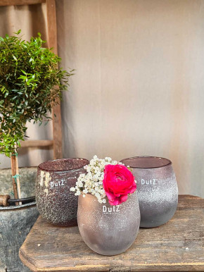 DutZ Collection Glas Übertopf Vase Hurricane Diva Antic aubergine H12 D12