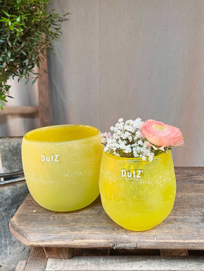 DutZ Collection Glas Übertopf Vase Hurricane Diva Antic yellow H12 D12