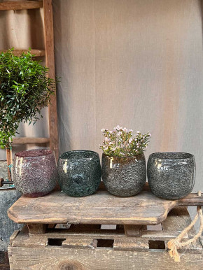 DutZ Collection Glas Übertopf Vase Hurricane Diva Bubble Pine H10