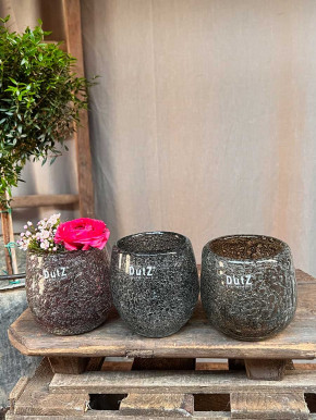 DutZ Collection Glas Übertopf Vase Hurricane Diva Bubble Fuchsia H10