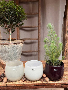 DutZ Collection Glas Pot Übertopf Vase Windlicht bauchig H14 D16 lichtgrau