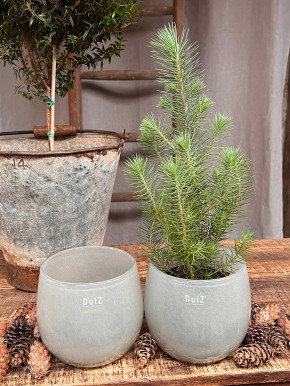 DutZ Collection Glas Pot Übertopf Vase Windlicht bauchig H14 D16 lichtgrau