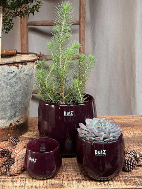 DutZ Collection Übertopf Pot bauchig H17 D19 plum