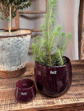 DutZ Collection Übertopf Pot bauchig H17 D19 plum