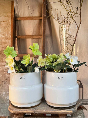 DutZ Collection Übertopf Maartje weiß L