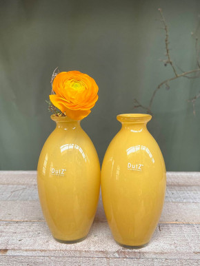 DutZ Collection bauchige Glas Vase Nadiel yellow gelb H18 D9