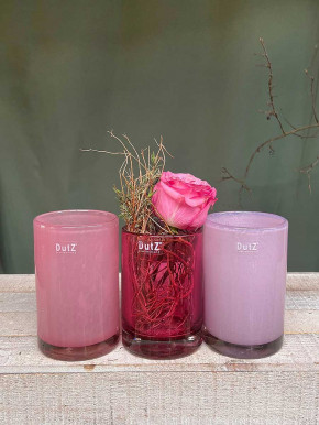 DutZ Collection Glas Vase Cylinder fuchsia transparent H15