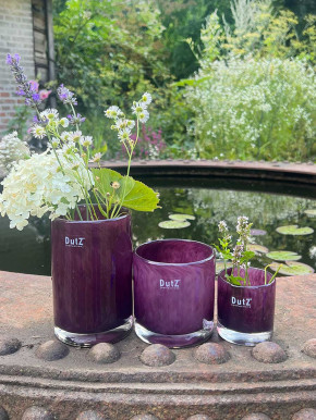 DutZ Collection Glas Übertopf Windlicht Vase Cylinder plum H10