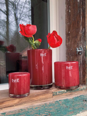 DutZ Collection Glas Vase Cylinder raspberry H15