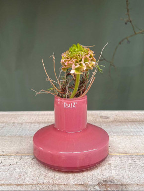 DutZ Collection Glas Vase Alexa rose H10 D12