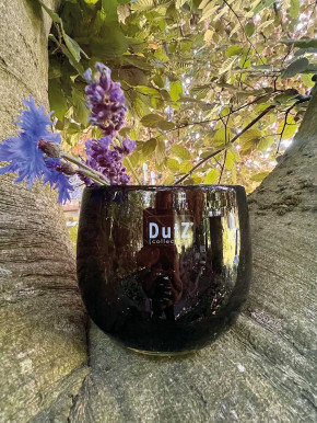 DutZ Collection Glas Übertopf Vase Windlicht bauchig H11 D13 smoke