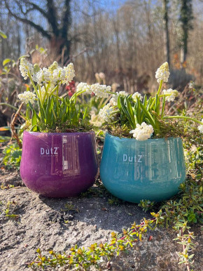 DutZ Collection Glas Übertopf Vase Windlicht bauchig H7 D10 jade