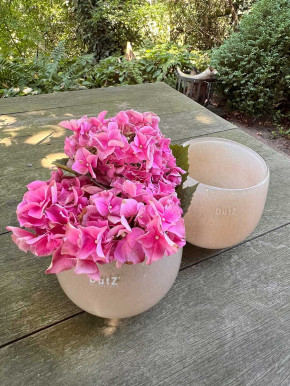 DutZ Collection Glas Übertopf Vase Windlicht bauchig H11 D13 beige