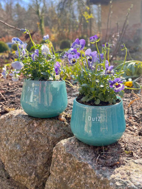 DutZ Collection Glas Übertopf Vase Windlicht bauchig H7 D10 jade