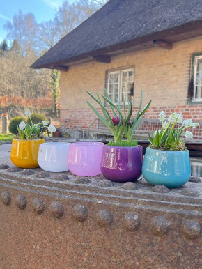 DutZ Collection Glas Übertopf Vase Windlicht bauchig H7 D10 weiß