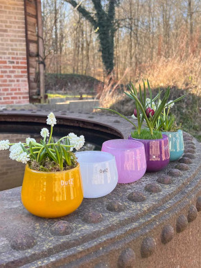 DutZ Collection Glas Übertopf Vase Windlicht bauchig H7 D10 weiß