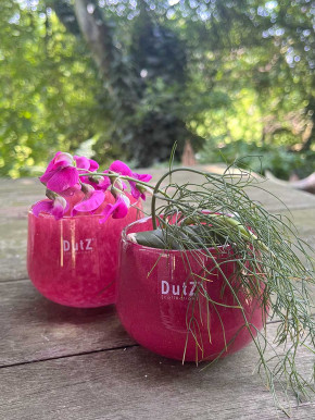 DutZ Collection Glas Übertopf Vase Windlicht bauchig H7 D10 raspberry