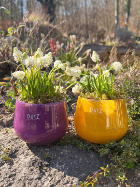 DutZ Collection Glas Übertopf Vase Windlicht bauchig H7 D10 ocker