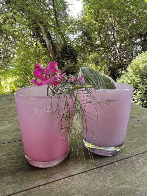 DutZ Collection Glas Übertopf Vase Windlicht Conic fuchsia M H14 D12