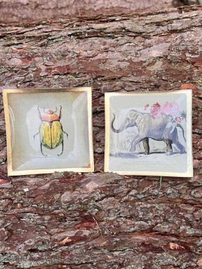 Love Plate Glasteller S Elefant beige-gold GiftCompany