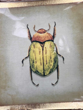 Love Plate Glasteller S Käfer taupe-gold GiftCompany