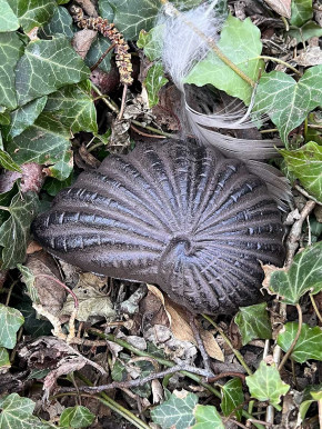 Muschel Gusseisen rostfarben Schlüsselversteck