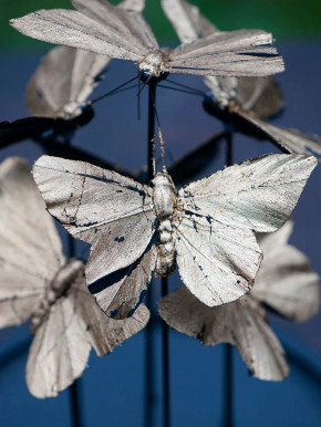 Goldene Schmetterlinge in Glaskuppel-Vitrine