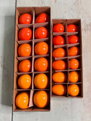 12er Pack Gänse-Eier orange lackiert H8