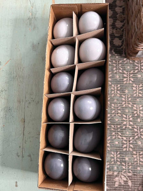 12er Pack Gänse-Eier grau lackiert H8