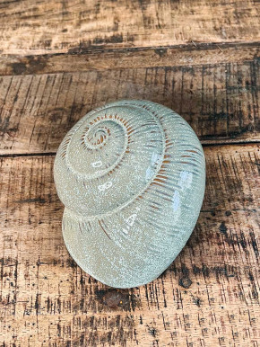 Keramik Muschel Merle grau