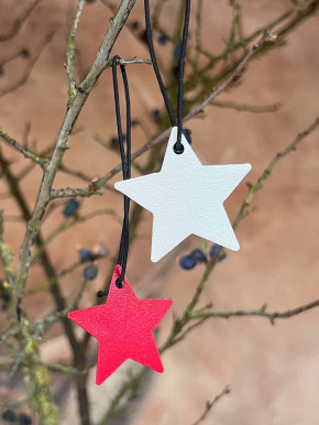 Metallstern creme matt Stern XS zum Aufhängen D4