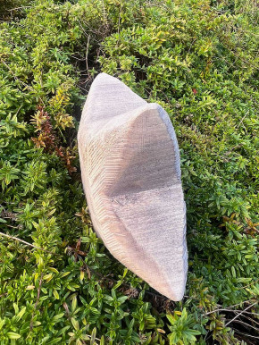 WMG Holz - Stern gewölbt graubraun Pappel gesägt H23