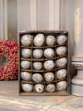 Wachteleier ausgeblasen natur 60 Stück