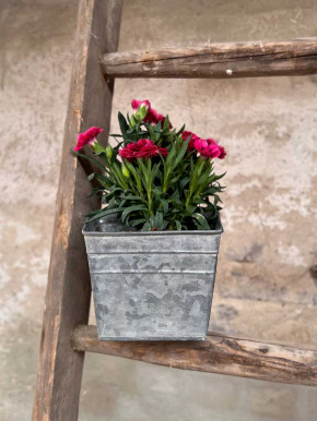 Zink Pott Blumentopf eckig Herzaufhänger